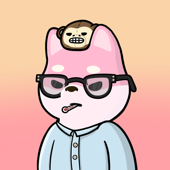 Shibe #3916