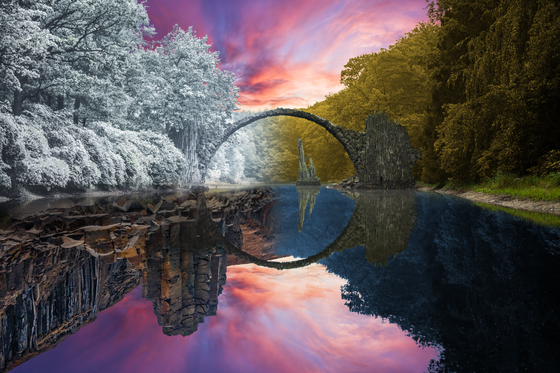 Reflection #109