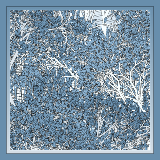 Entangled #116
