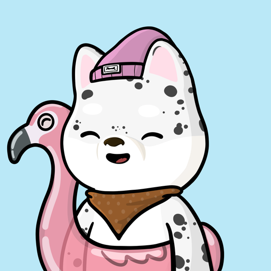 Shibe #344