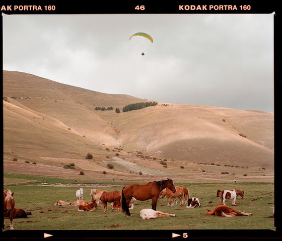 Tales of Castelluccio