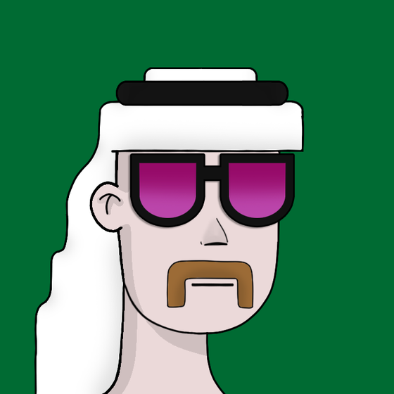 THE 2D SAUDIS #3309