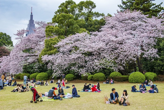 Ueno Onshi Park