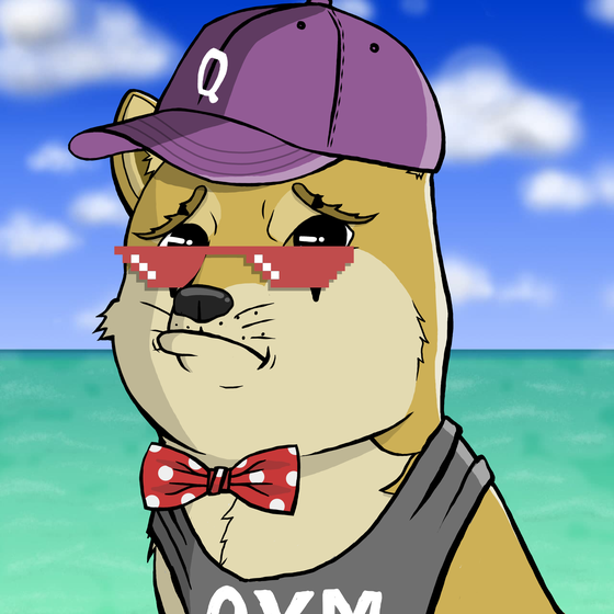 DogeX#7242