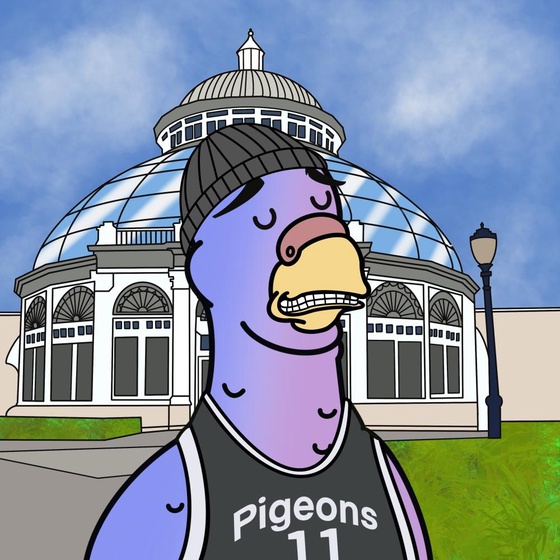 Pigeon #446