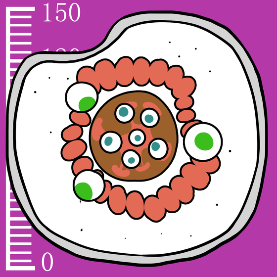 682