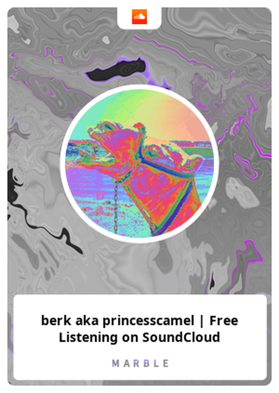 berk aka princesscamel | Free Listening on SoundCloud