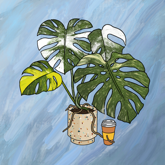 Moody Monstera #32