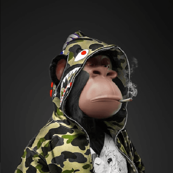 HAPE PRIME x BAPE