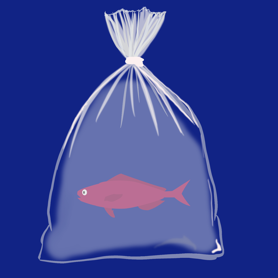 Feesh #2890
