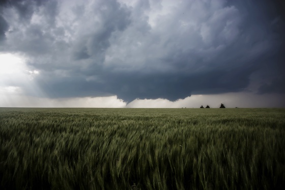 The Kansas Twister