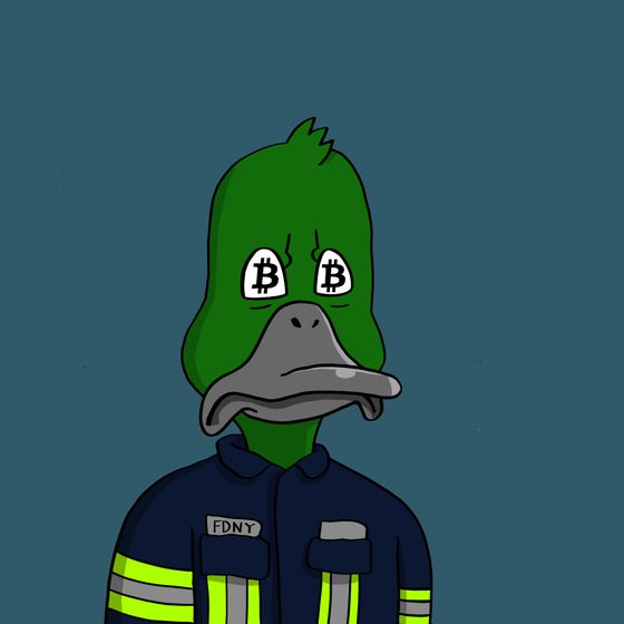 Duck #5437