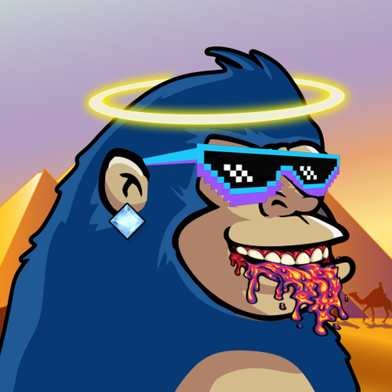 Chimp # 301