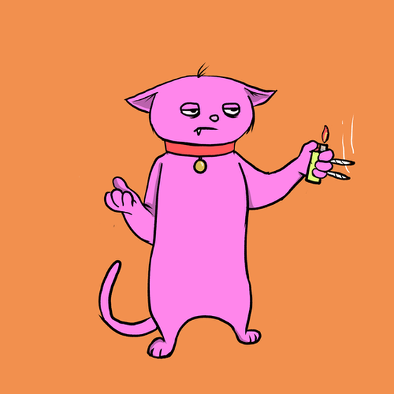 Blazed Cat #3655