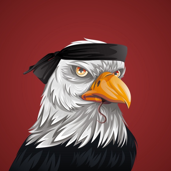 #3294 Bald Eagle