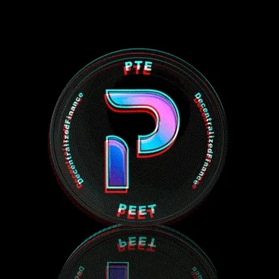 $PTE Limited Edition Glitch Coin