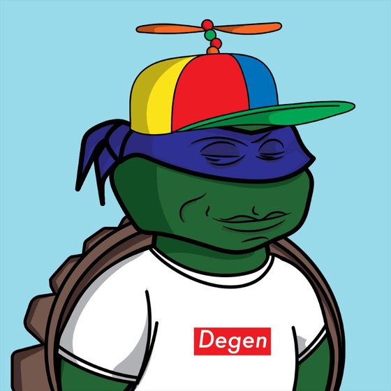 Degen Ninja Turtle #2573