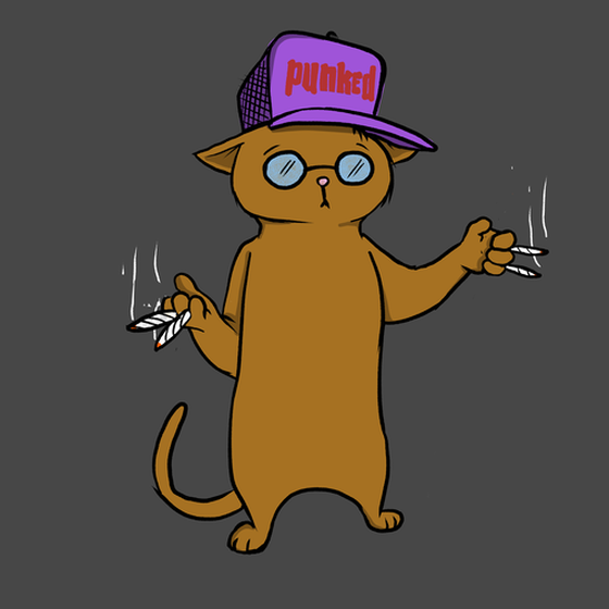 Blazed Cat #6898