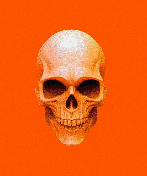 Cyber skull