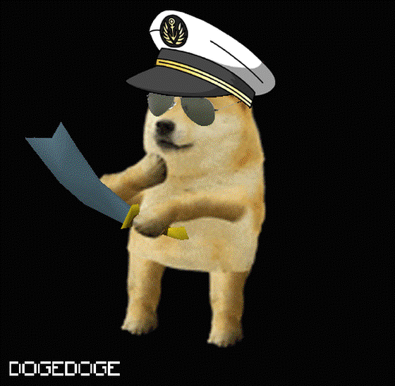 DOGEDOGE #101