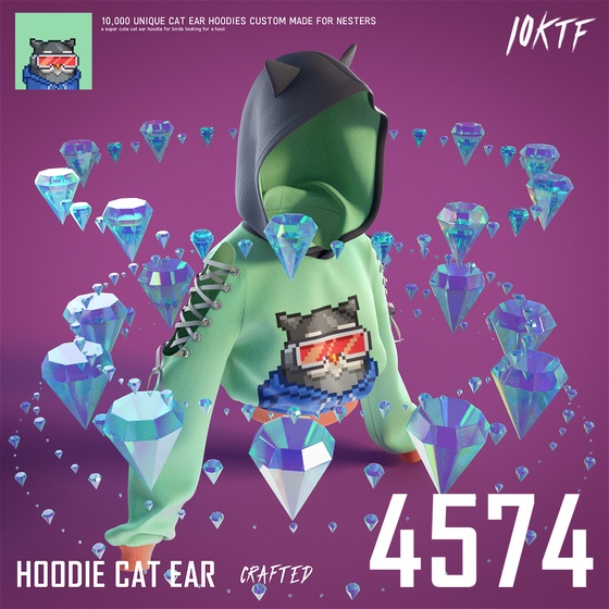 Moonbird Cat Ear Hoodie #4574