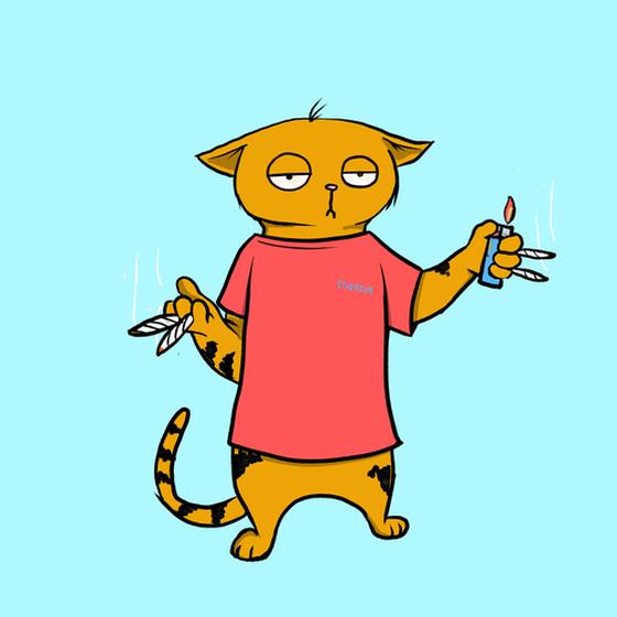 Blazed Cat #6981