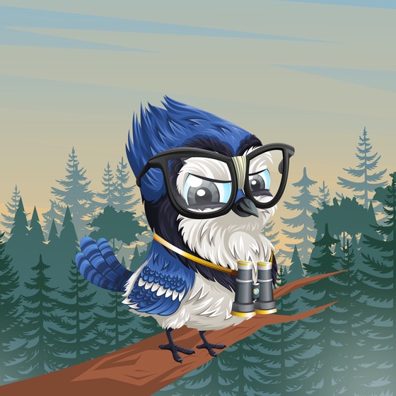 #3558 Bluejay Buddy