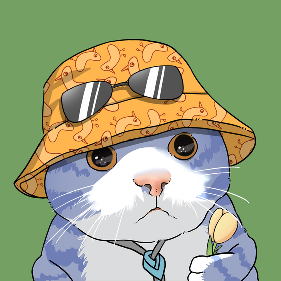 Puzzled cat #6858