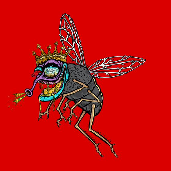 Funky Fly #2884