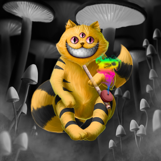 Opium Cheshire cat DNA#2310144