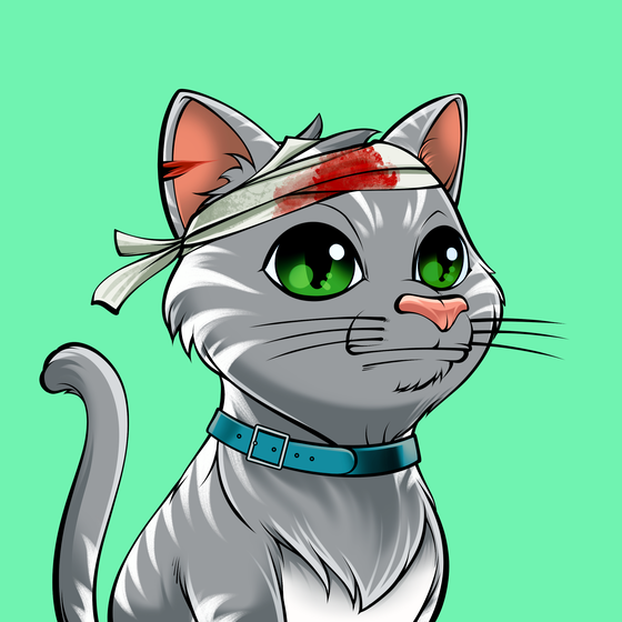 Cat #2355