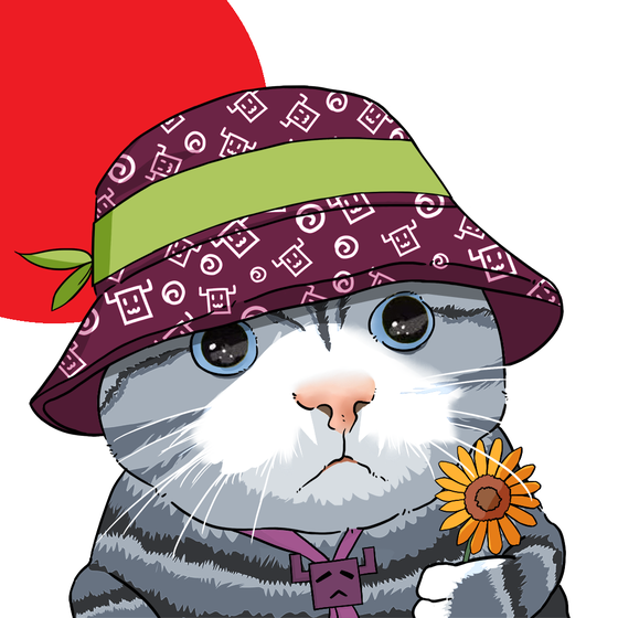 Puzzled cat #6566