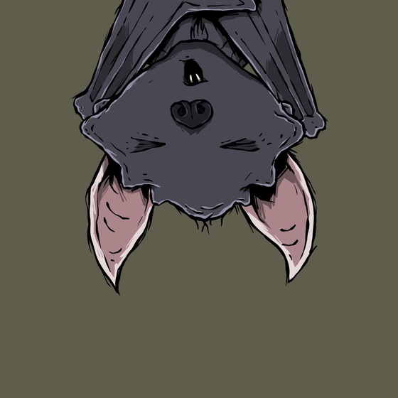 Moon Bats #8168