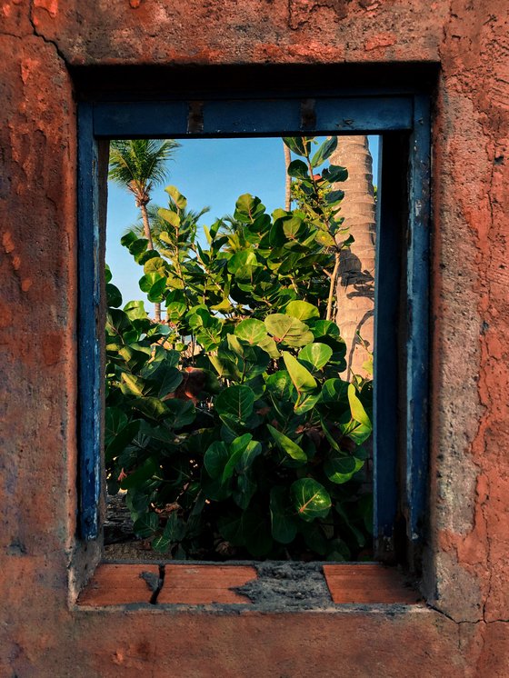 Window into the Beach Soul