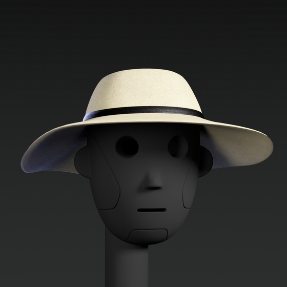 Head: Summer Hat