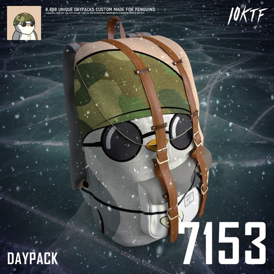 Pudgy Daypack #7153