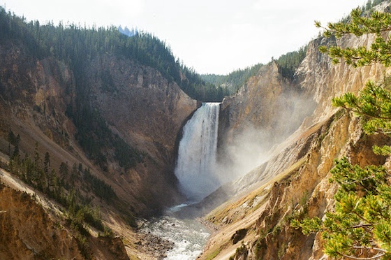 Yellowstone Falls