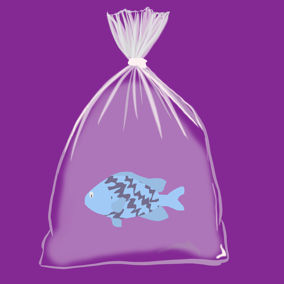 Feesh #1518