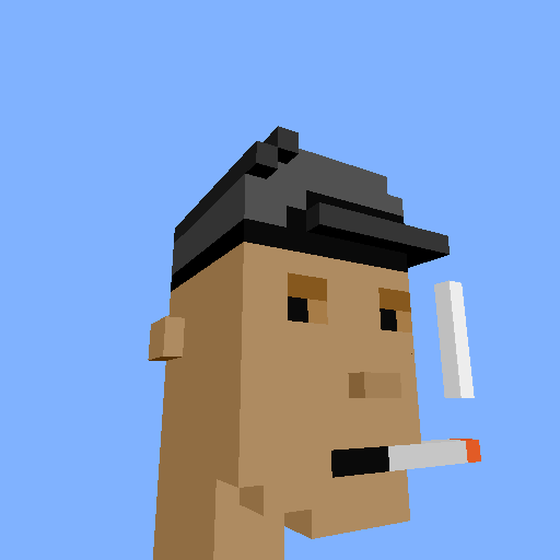 PunkVoxels #6403