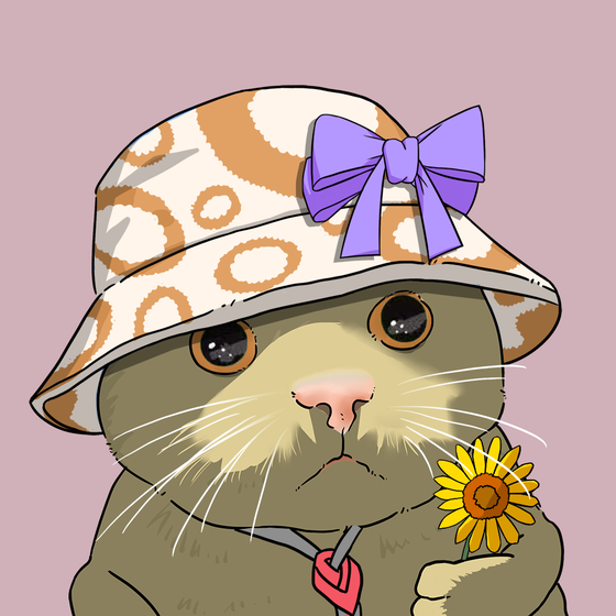 Puzzled cat #2328