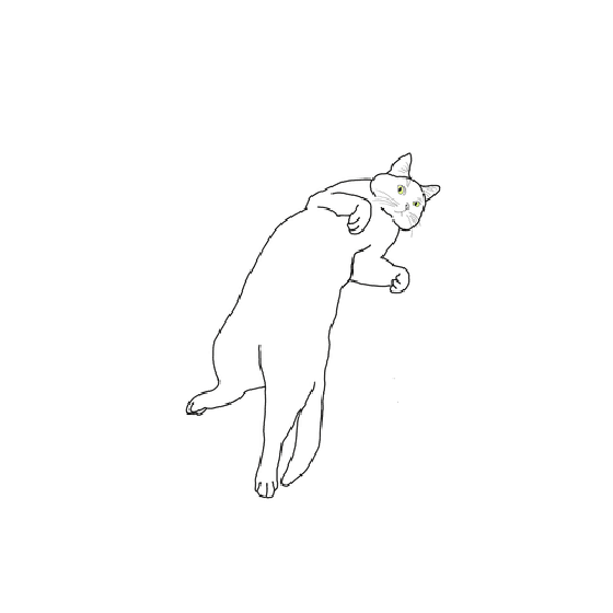 cat's gesture #002