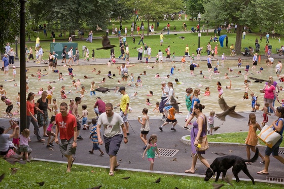 Frog Pond, Summer