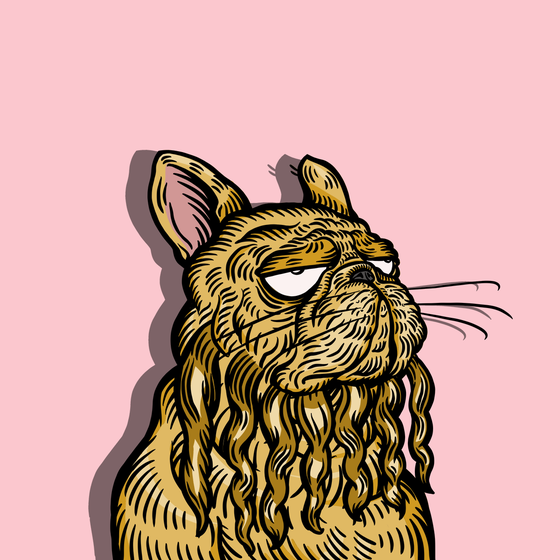 Cornelius of Johann Island