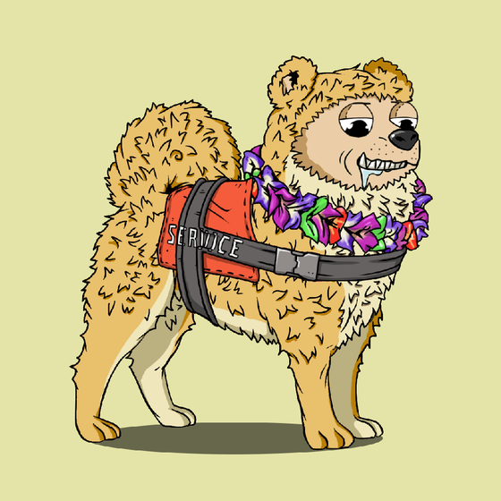 y00ts Canine Club #898