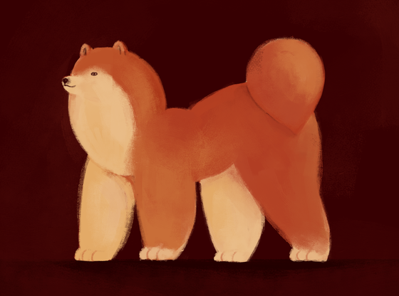 Evolving Art - Chunky Shib Ev. 0