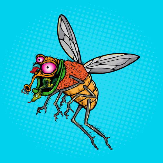 Funky Fly #4752