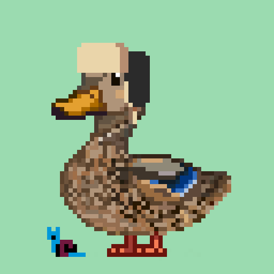 Mallard #2586