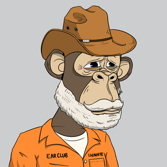 Elderly Ape #3073