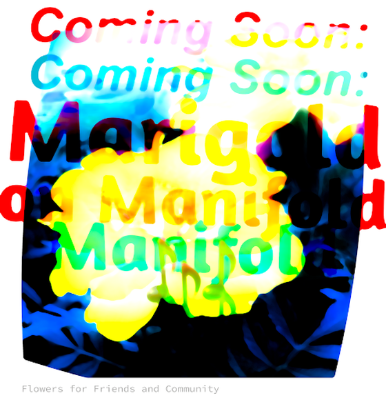 Coming Soon: Marigold on Manifold