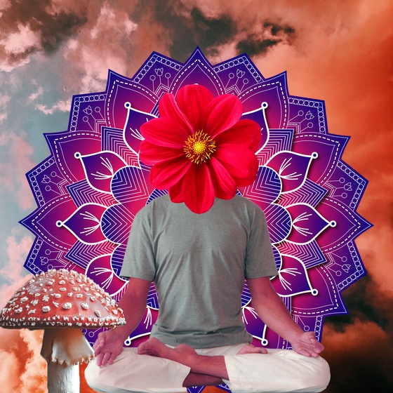 Guru #260